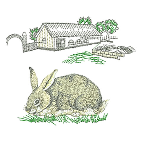 bauernhof-kaninchen-grau.jpg
