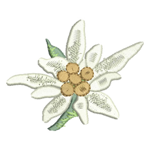 edelweiss-elka.jpg