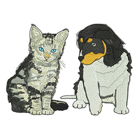 hund-katze.jpg